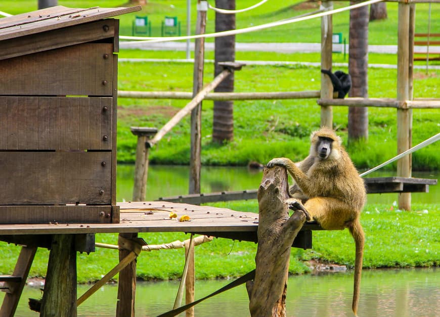 Place Jardim Zoológico de Goiânia