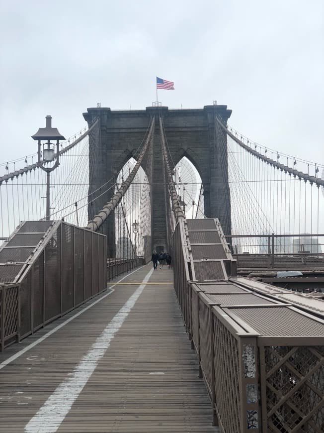 Place Brooklyn Bridge