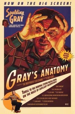 Película Gray's Anatomy