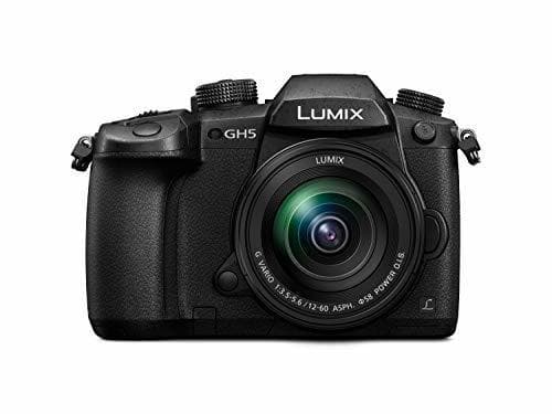 Electrónica Panasonic Lumix GH5M - Cámara Evil de 20.3 MP