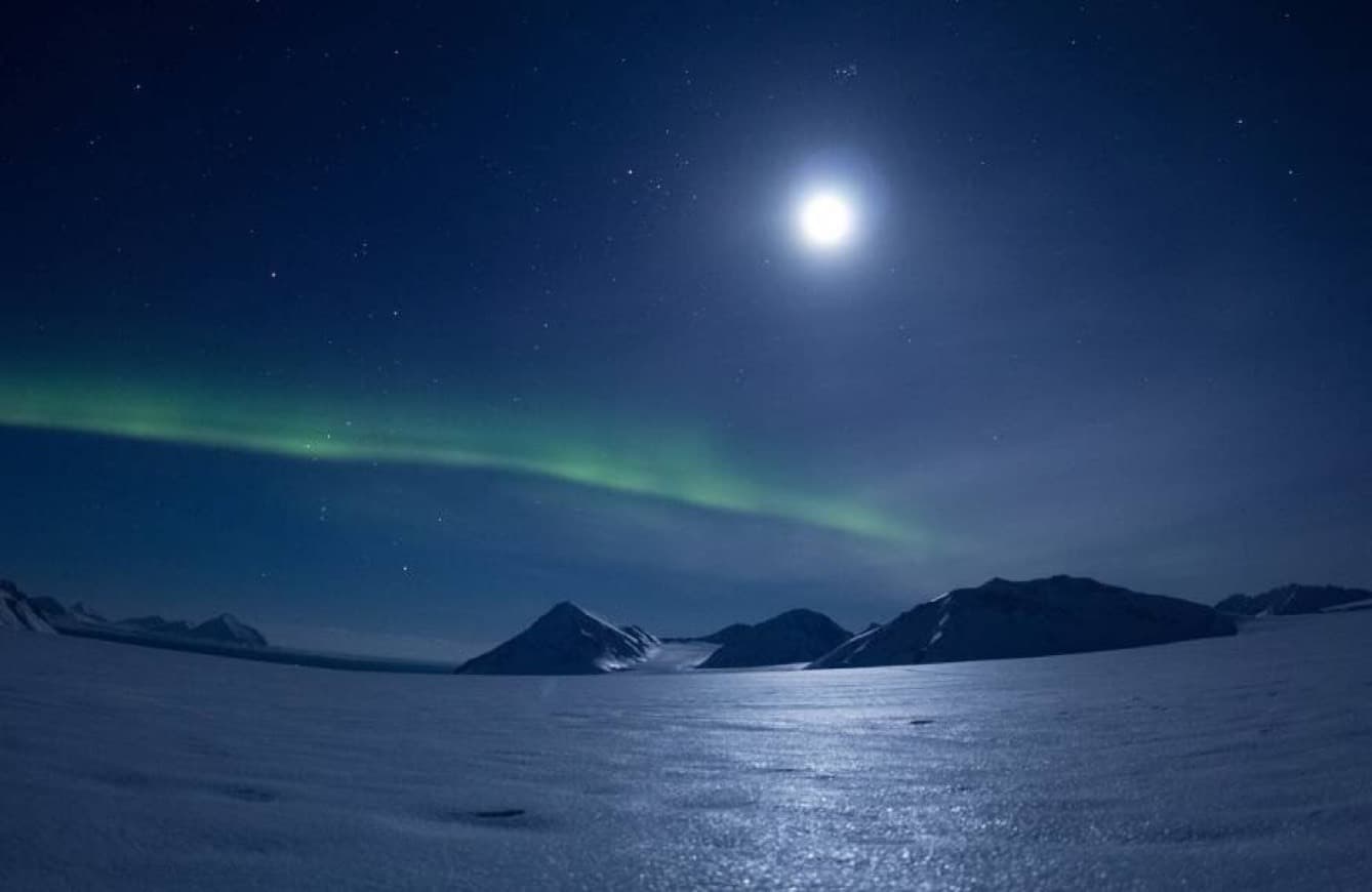 Place Svalbard plass