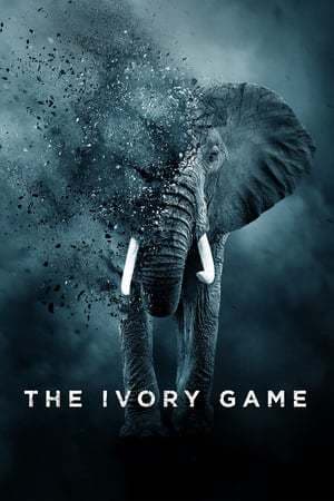 Película The Ivory Game