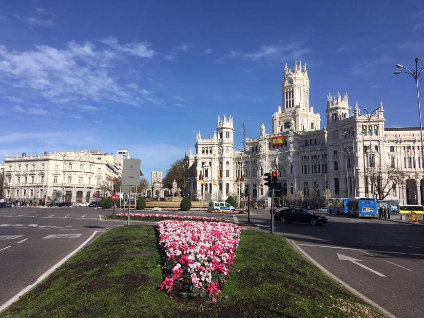 Place Palacio de Cibeles