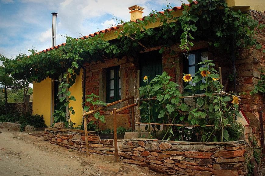 Place Quinta do Chão D'Ordem - Turismo Rural