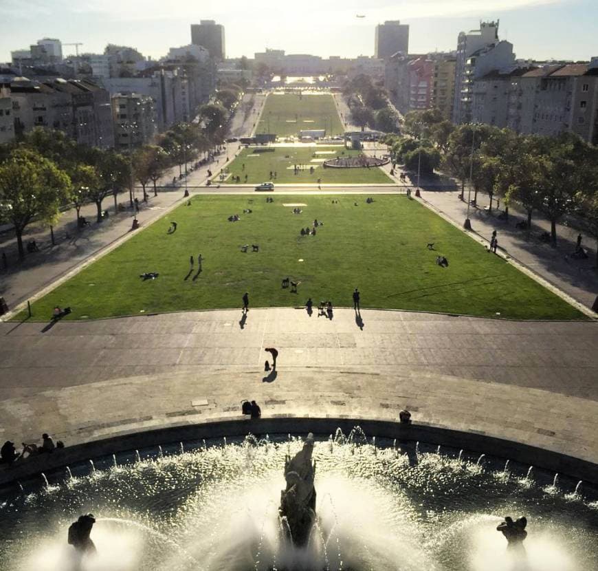 Place Alameda Dom Afonso Henriques