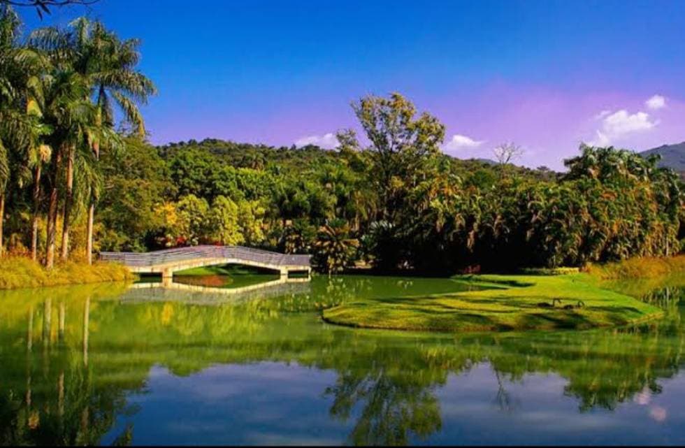 Moda Brumadinho (MG)