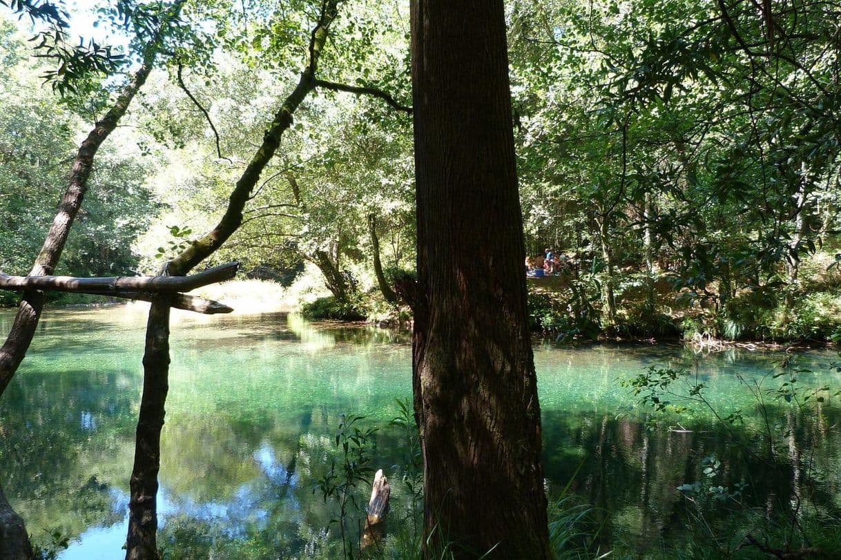 Place Lagoa da Esturranha