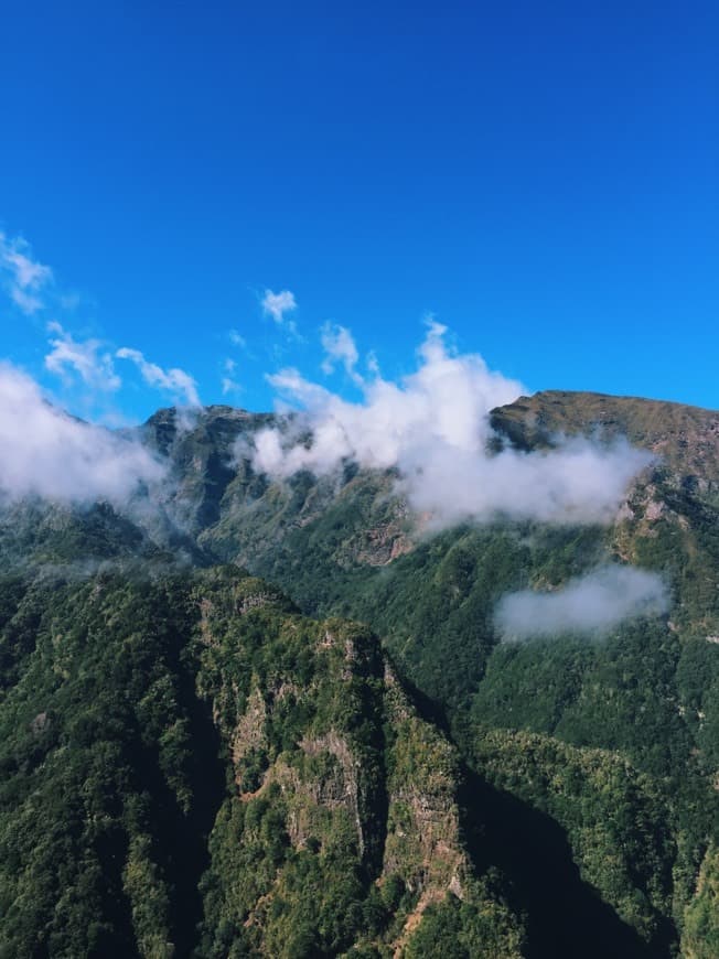 Place São Roque do Faial