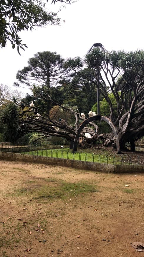 Place Jardim Botânico d'Ajuda