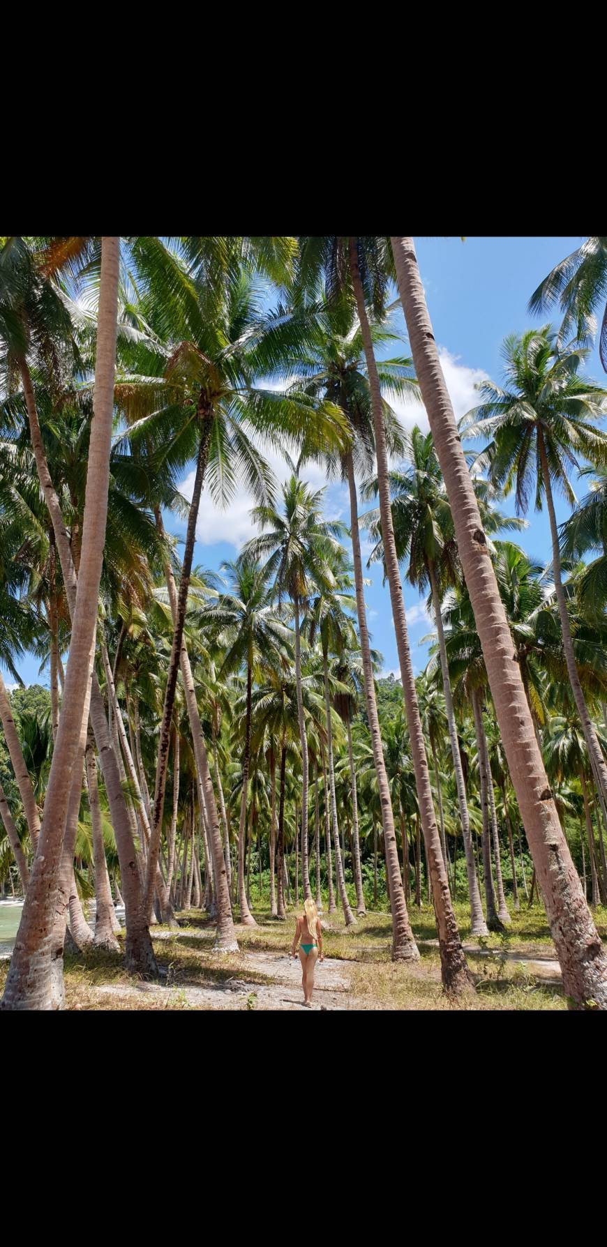 Lugar Coconut Beach