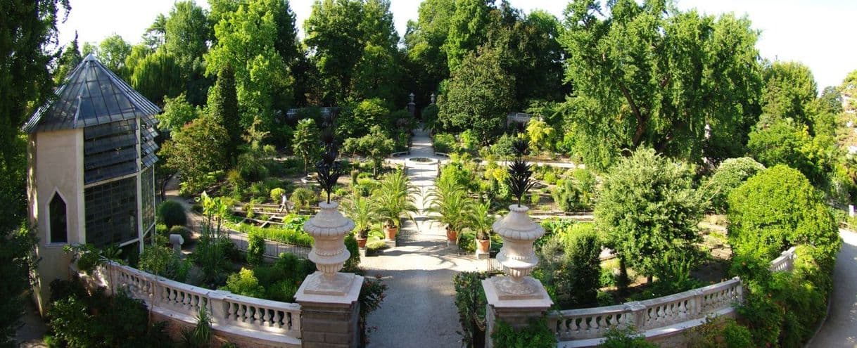 Place Orto botanico di Padova