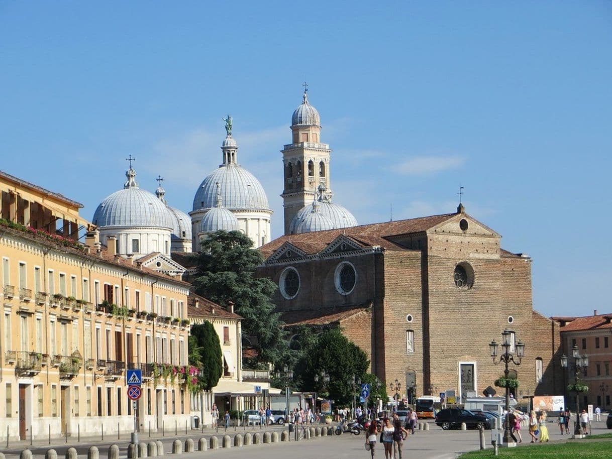 Place Università degli Studi di Padova