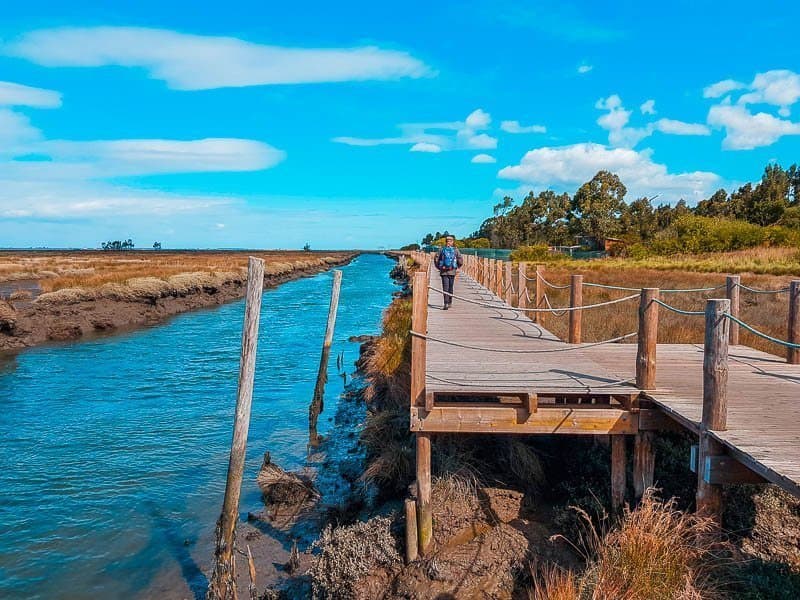 Place Passadiços da Ria de Aveiro