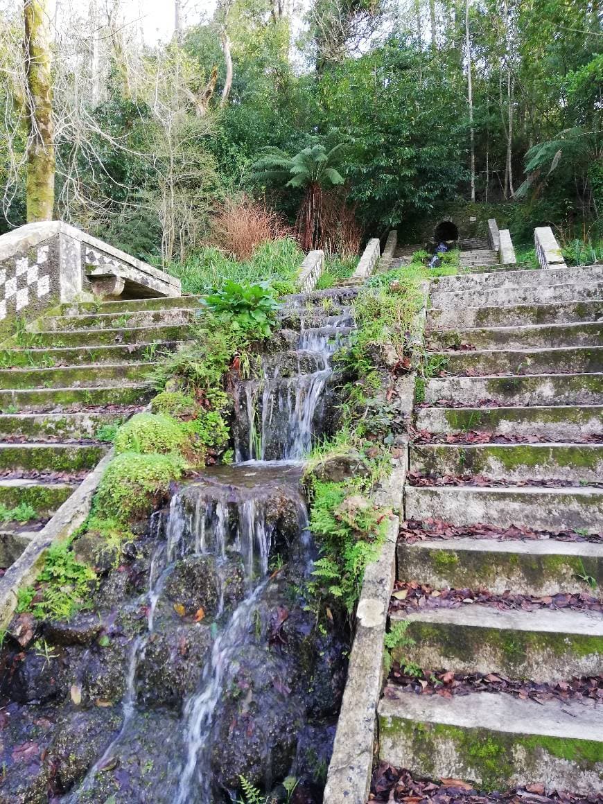 Place Mata Nacional do Buçaco