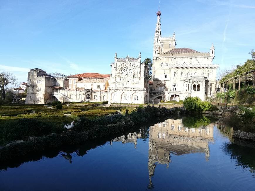 Place Bussaco Palace Hotel