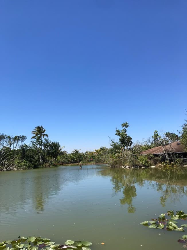 Lugar Everglades Safari Park