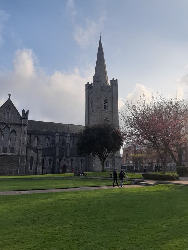 Place St Patrick's Cathedral