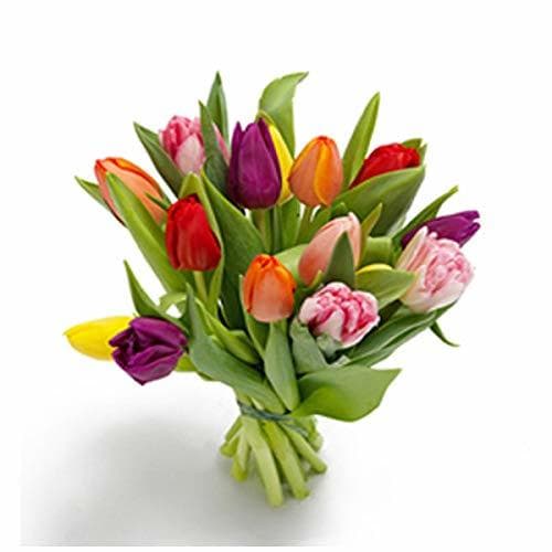 Product Florclick - Ramo de 15 Tulipanes con tarjeta dedicatoria gratuita