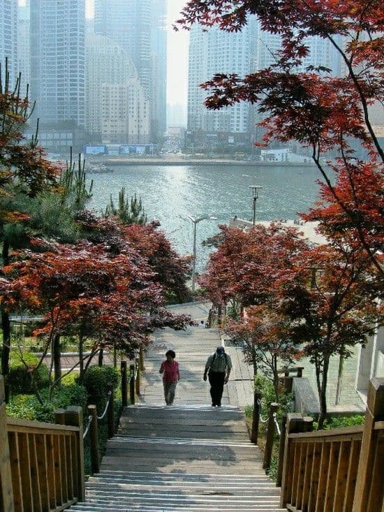 Place Busan