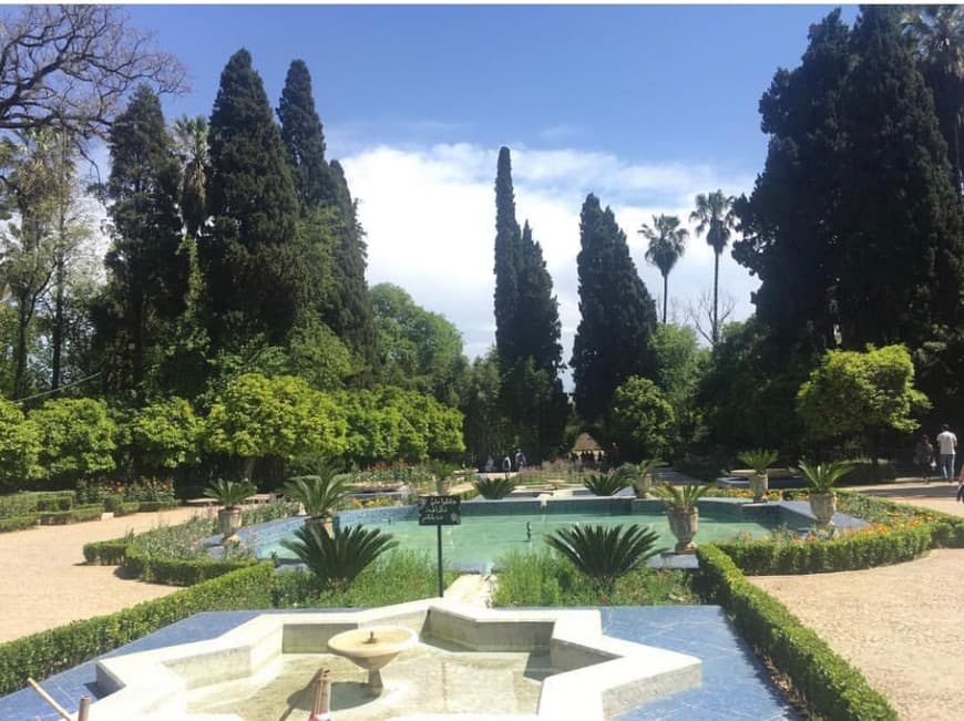 Place Les Jardins de Sheherazade