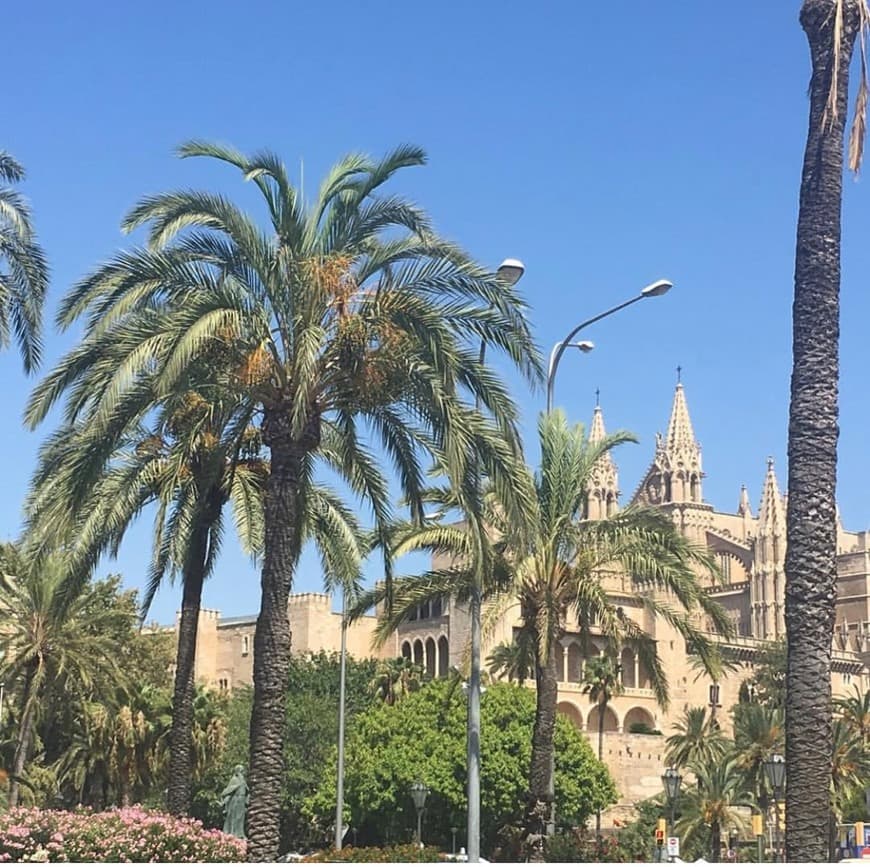 Place Catedral-Basílica de Santa María de Mallorca