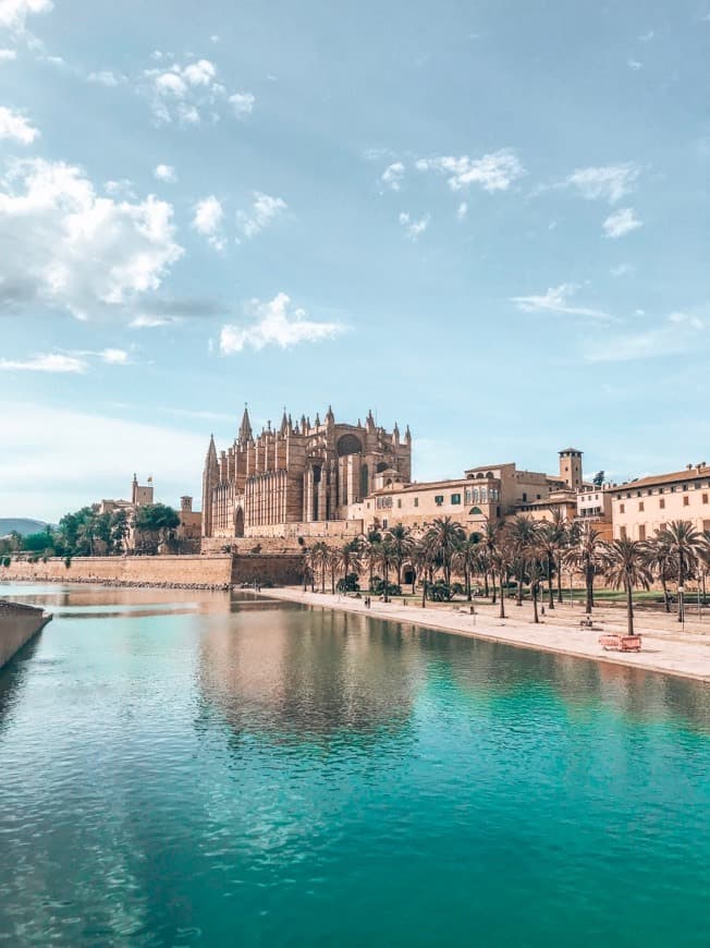 Lugar Catedral-Basílica de Santa María de Mallorca