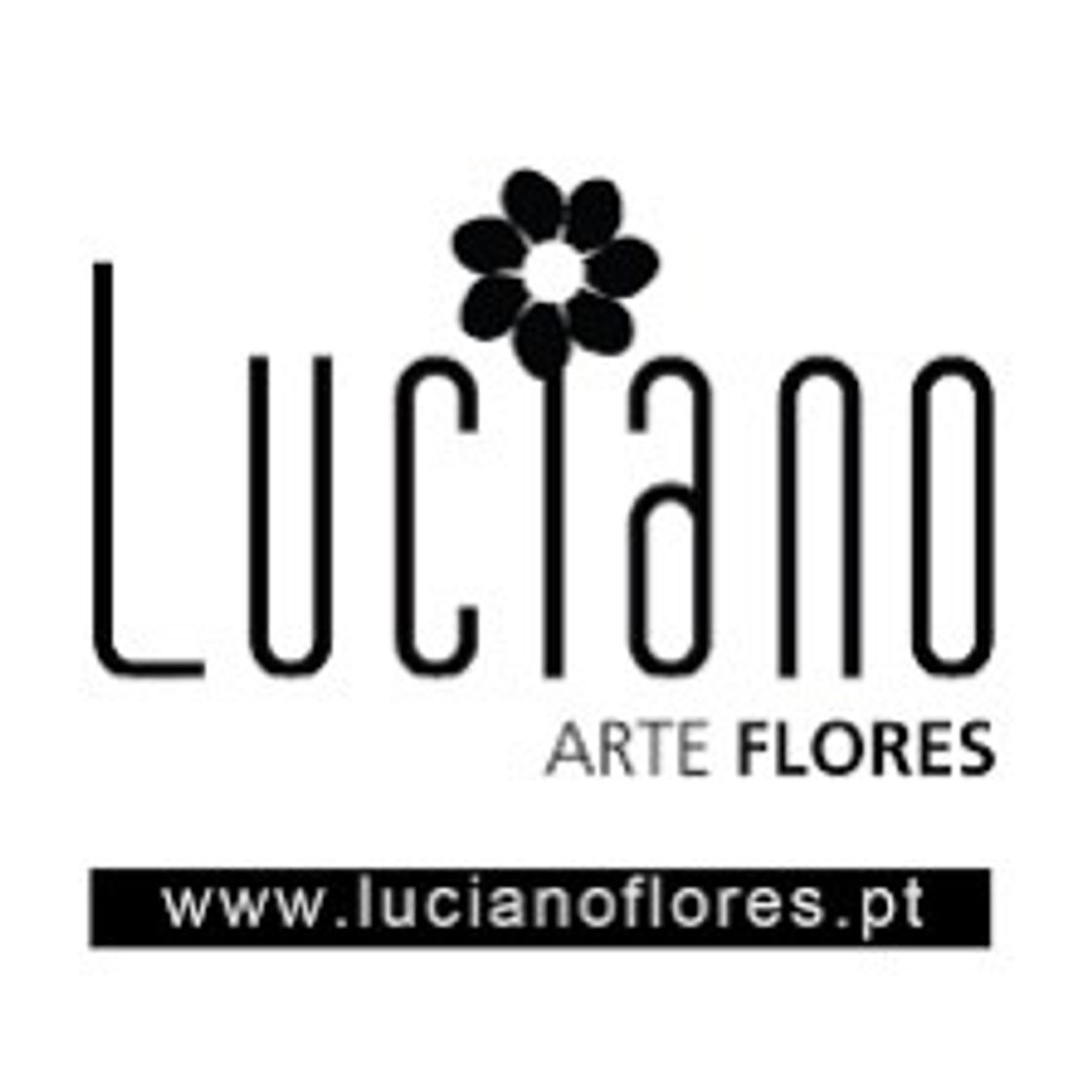 Moda Luciano Arte Flores | Entrega de Flores ao Domicílio