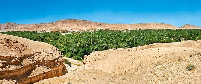 Lugar Oasis De Chebika