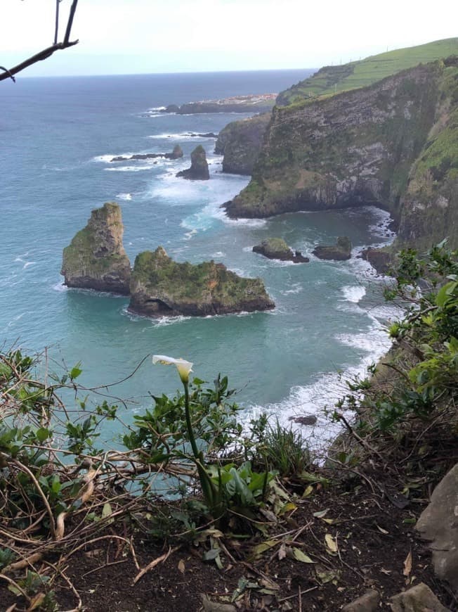 Lugar Ilha das Flores