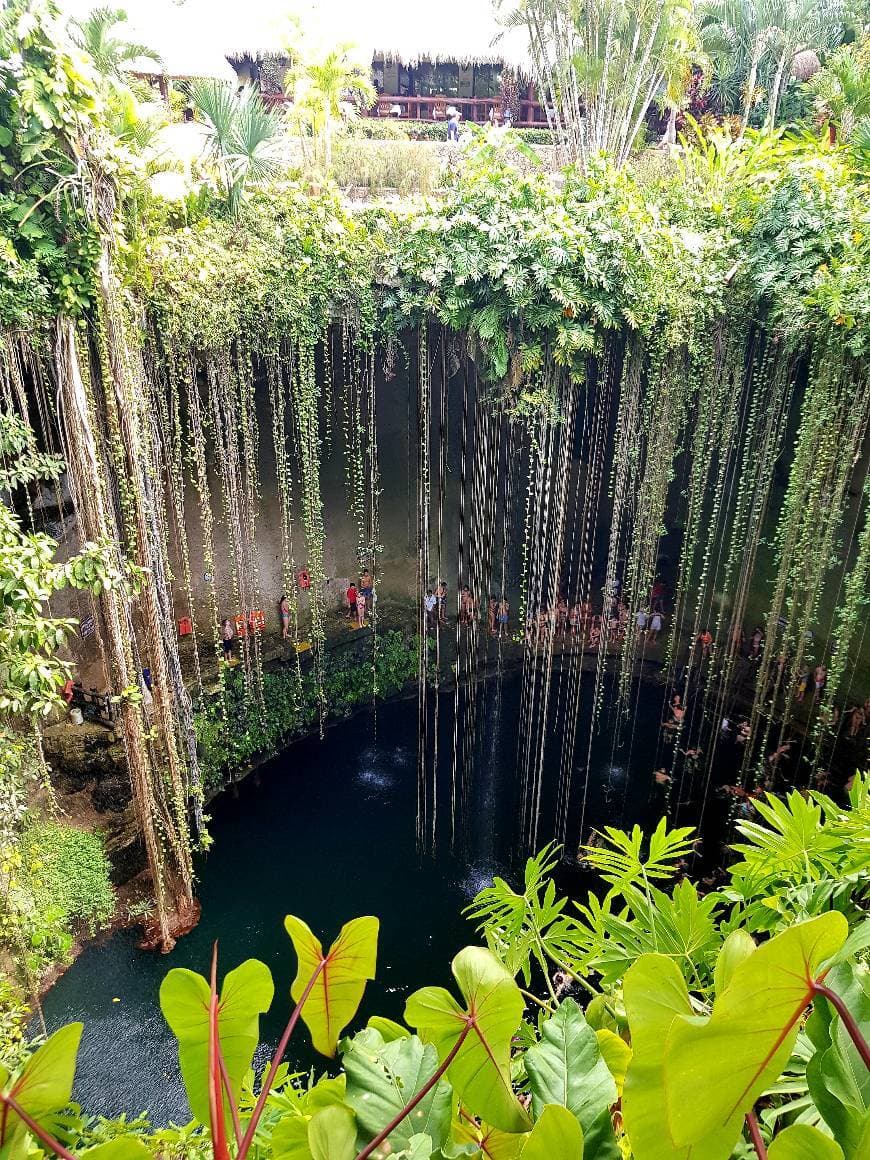 Place Cenote Ik-Kil