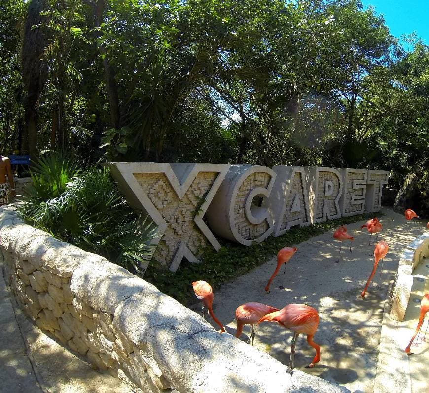 Place XCARET