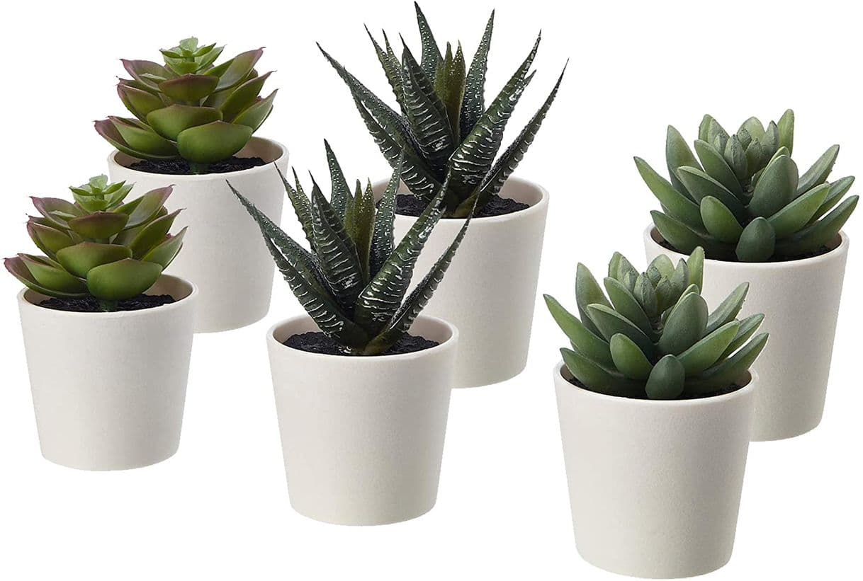 Elemento de la categoría hogar Ikea FEJKA - Juego de 3 Mini Plantas de Escritorio con ventosas