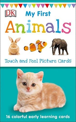 Book My First Touch And Feel Picture Cards