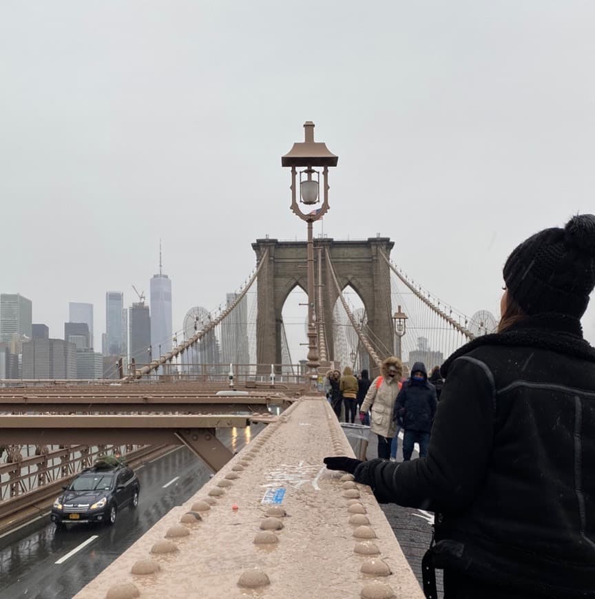 Place Brooklyn Bridge