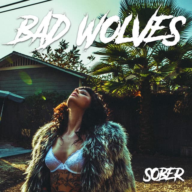 Canción Sober