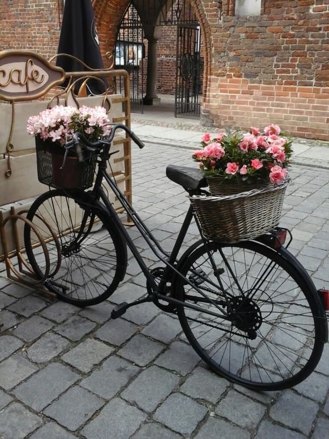 Fashion Bicicleta 