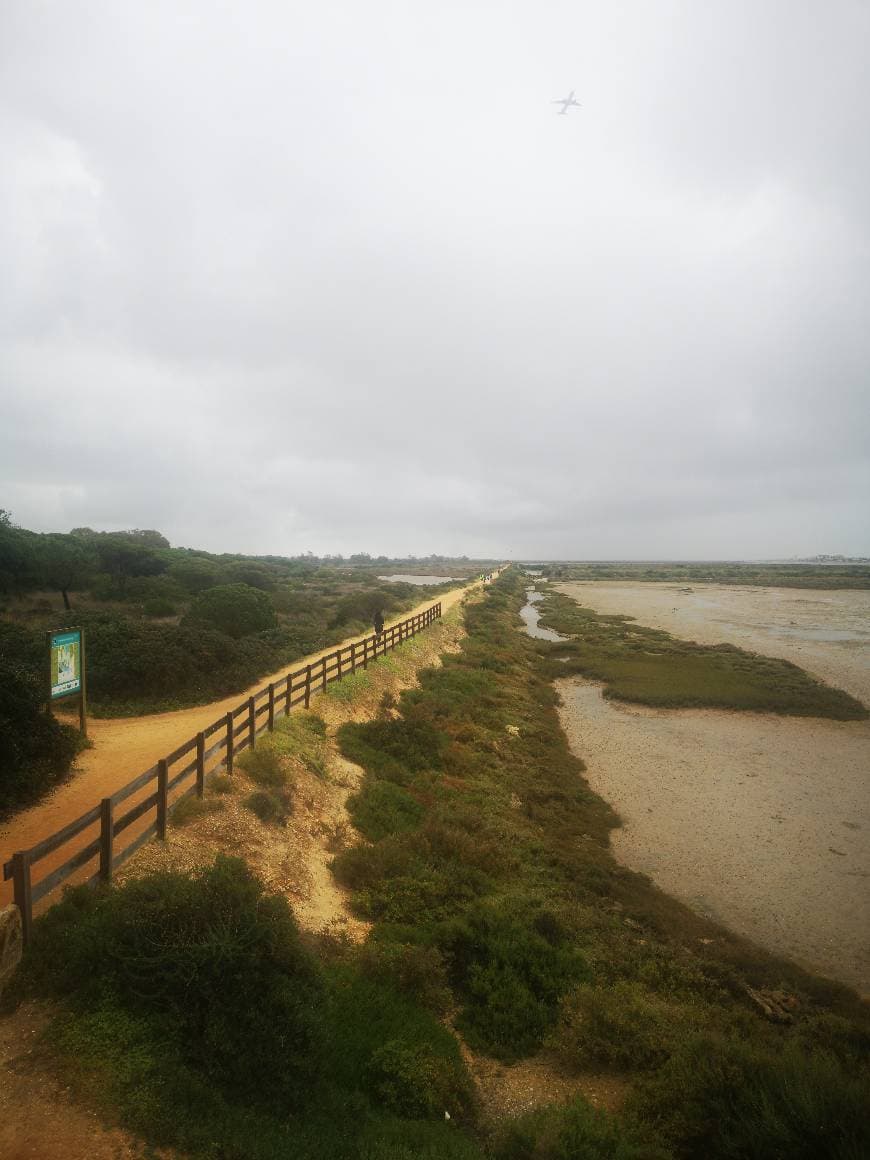 Place Ria Formosa Natural Park