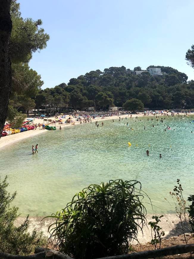 Place Cala Galdana