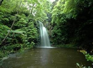 Lugar poço das Asas