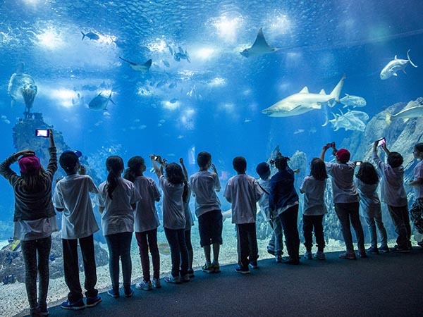 Place Oceanário de Lisboa