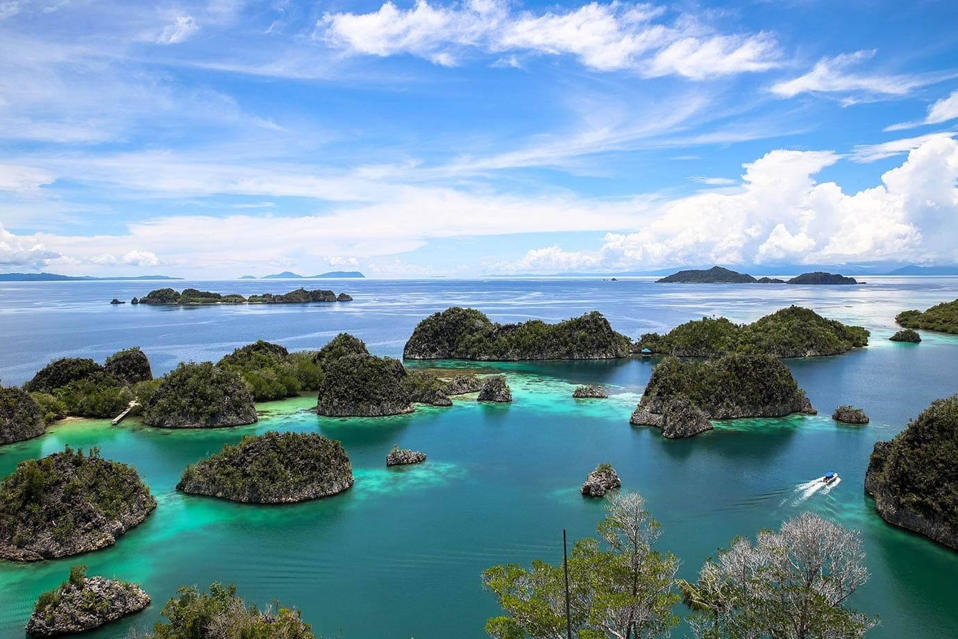 Lugar Raja Ampat