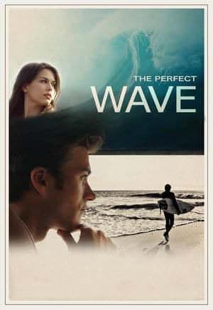 Película The Perfect Wave