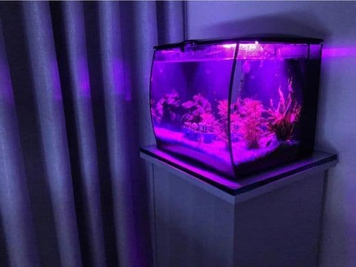 Moda Aquário com LED Fluval Flex