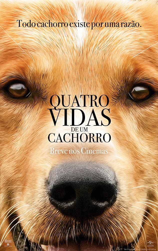 Movie Quatro Vidas de Um Cachorro - Trailer 1 - YouTube