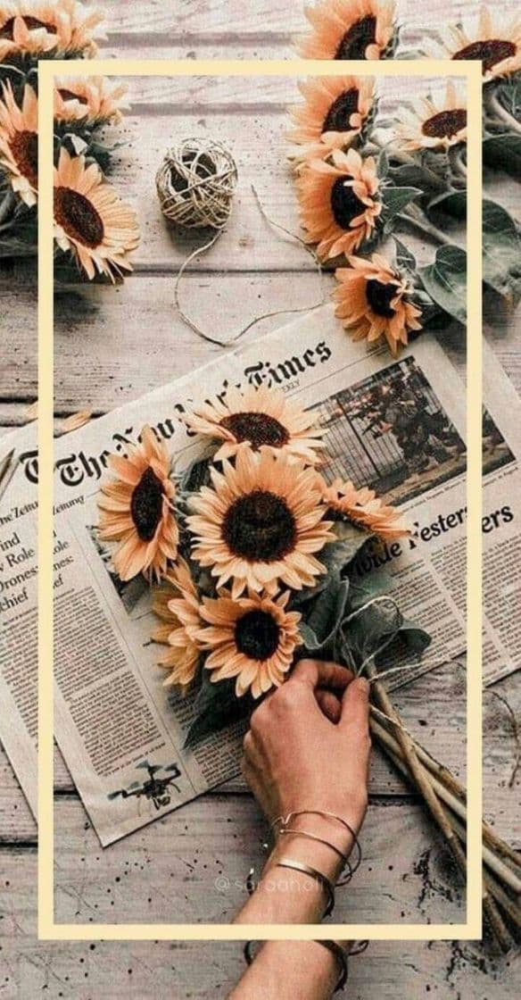 Moda 🌻🍃