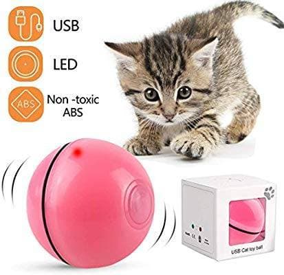 Fashion Bola de gato DIWUJI, bolas de brinquedos para gatos, bola gi