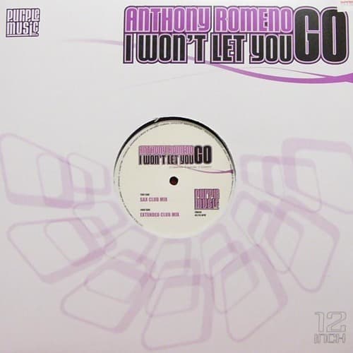 Music I Won't Let You Go (Extended Mix)