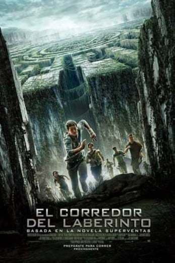 Movie The Maze Runner