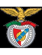 Moda SL Benfica - Perfil del club | Transfermarkt