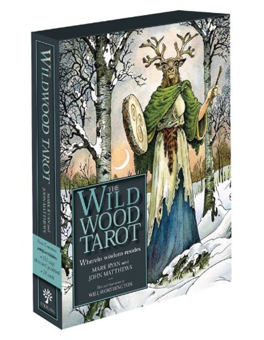 Lugar TAROT DECK-WILDWOOD TAROT-78PK